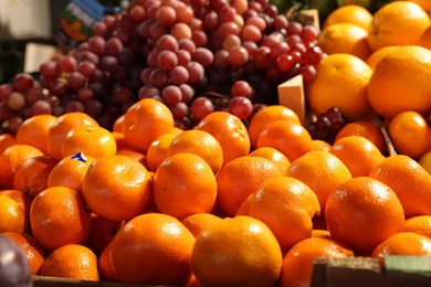Many different fresh fruits on counter at market, closeup