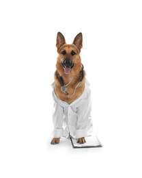 Photo of Cute dog in uniform with stethoscope and clipboard as veterinarian on white background