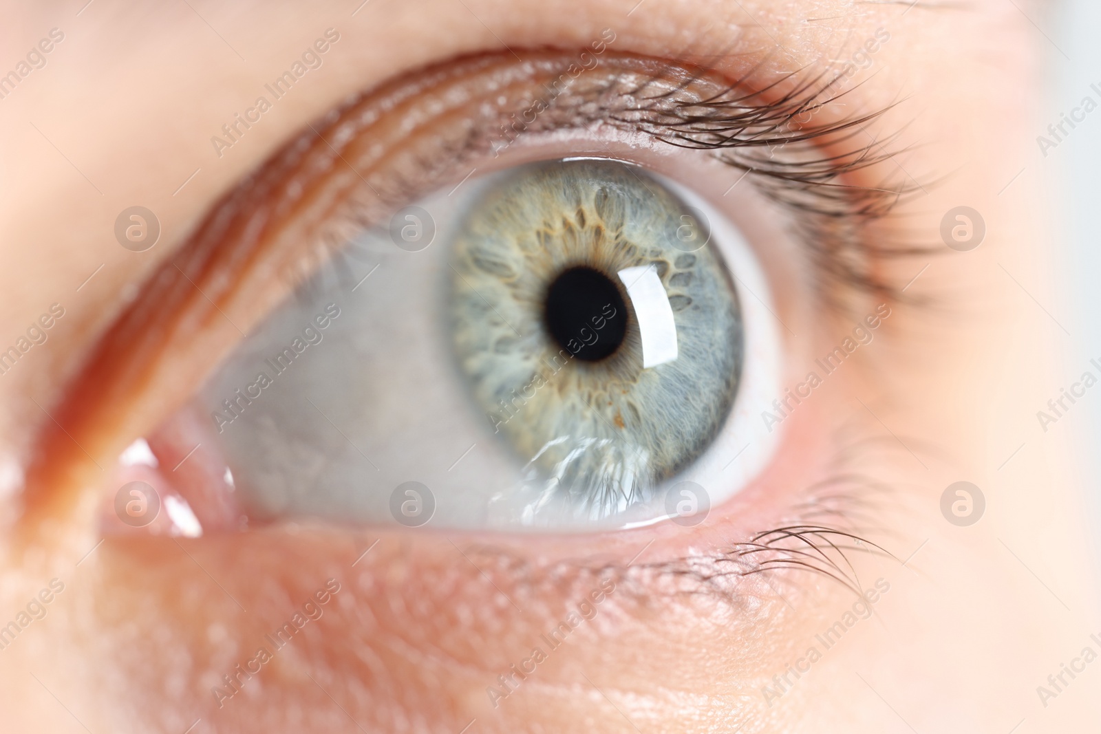 Photo of Macro photo of woman with beautiful eyes