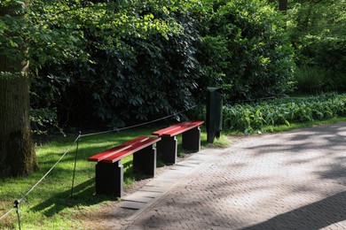 Photo of Wooden benches and trash bin in beautiful park on sunny day