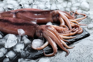 Fresh raw squids with ice on grey table, closeup
