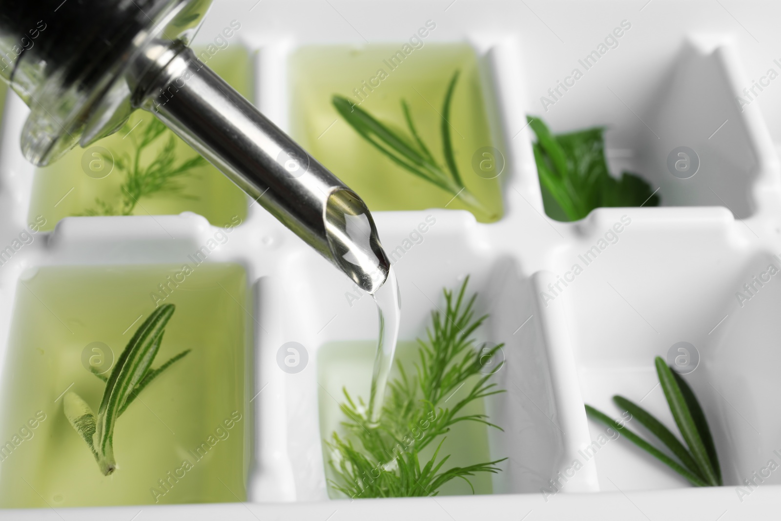 Photo of Pouring oil into ice cube tray with herbs, closeup