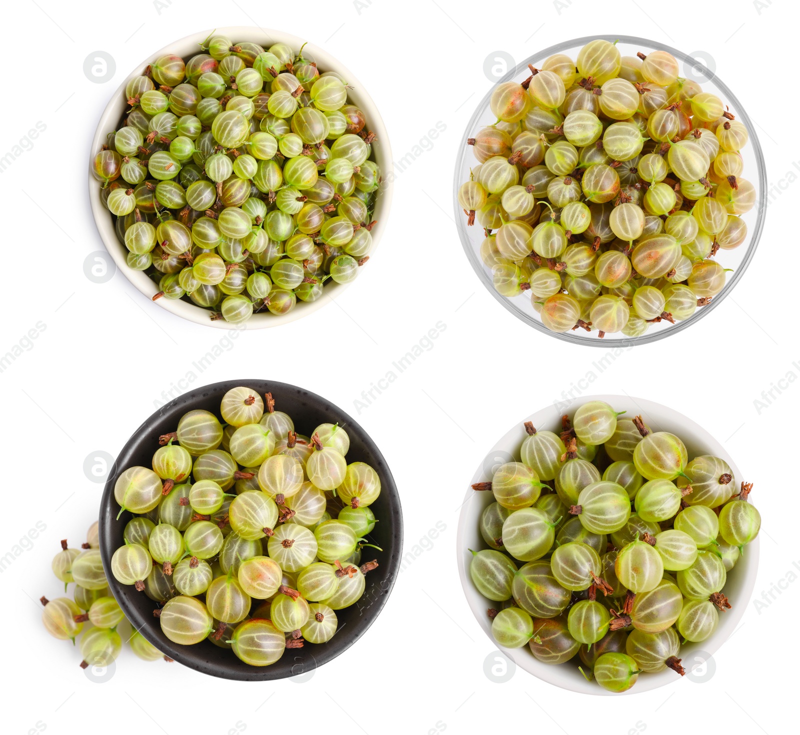 Image of Set with bowls of fresh ripe gooseberries on white background, top view