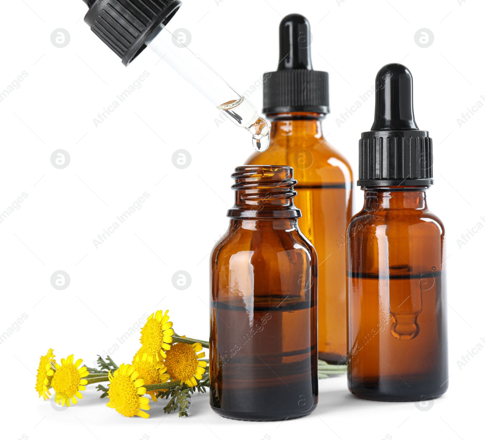 Photo of Dropping herbal essential oil into bottle and flowers isolated on white