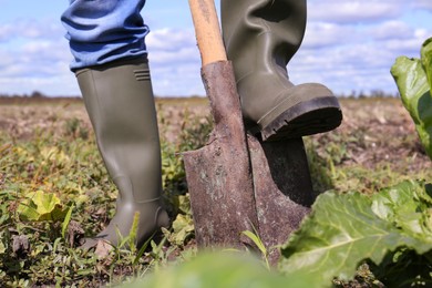Photo of Man digging soil with shovel in beet field, closeup