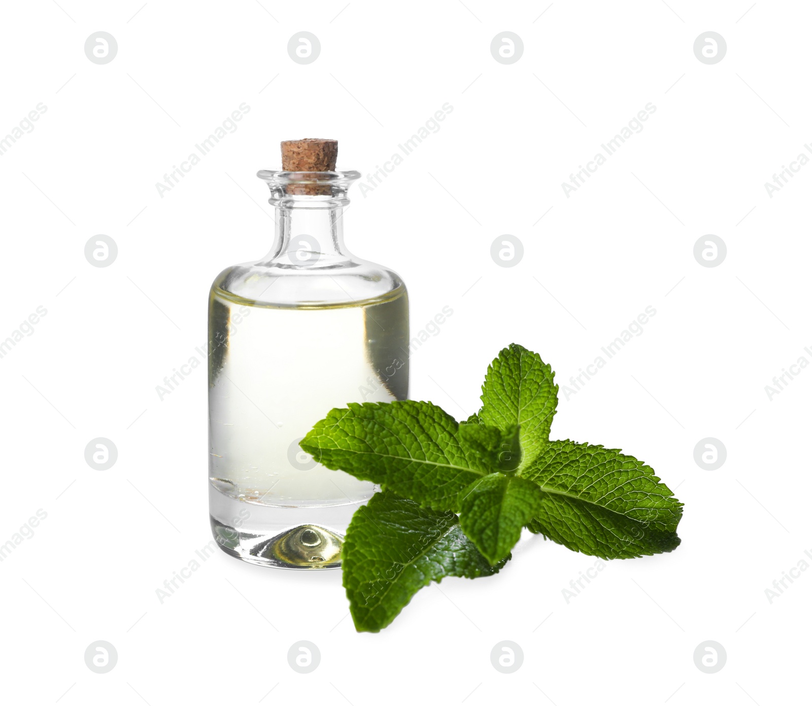 Photo of Bottle of essential oil and mint on white background