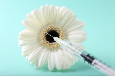 Photo of Cosmetology. Medical syringe and gerbera flower on turquoise background, closeup