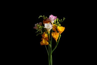 Photo of Bouquet of beautiful freesia flowers on black background