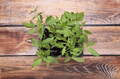 Seedlings growing in plastic container with soil on wooden background, top view. Gardening season