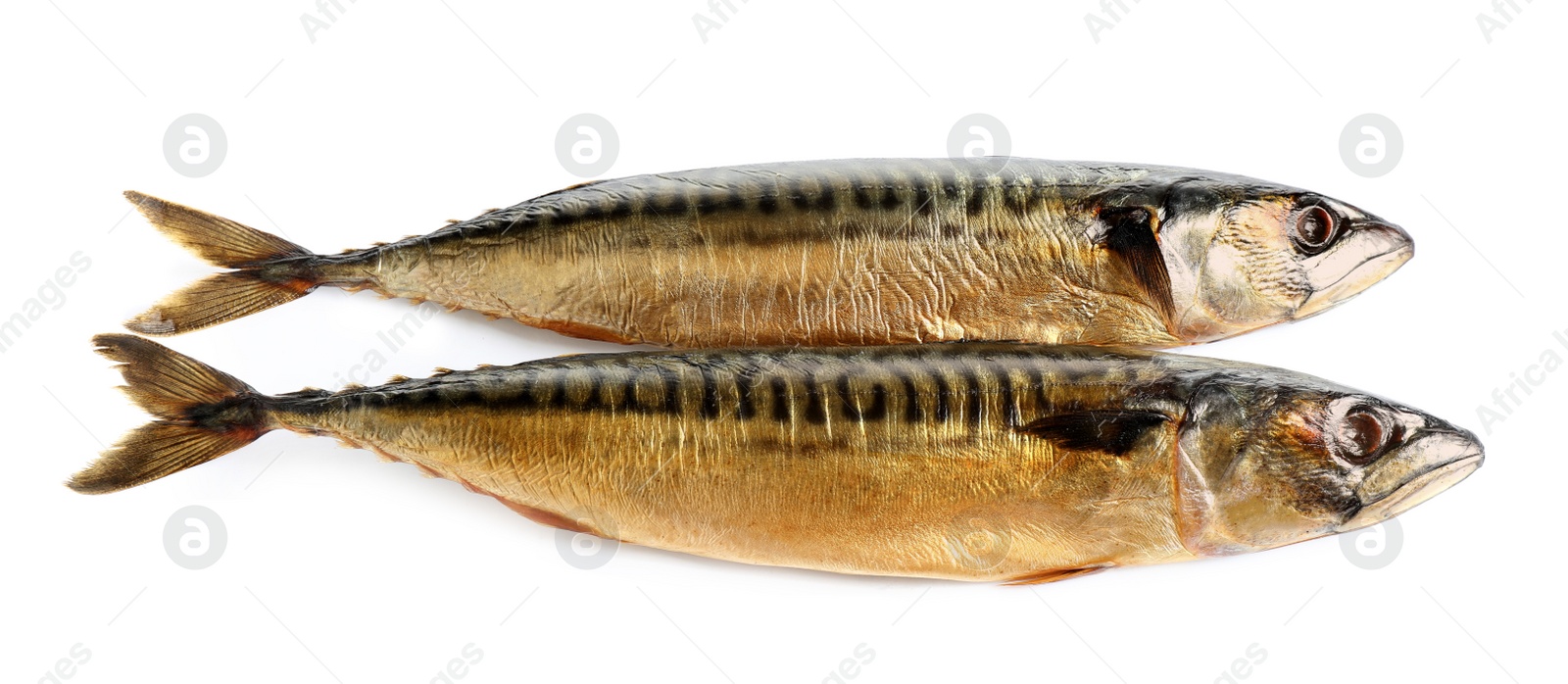 Photo of Tasty smoked mackerel fish isolated on white, top view