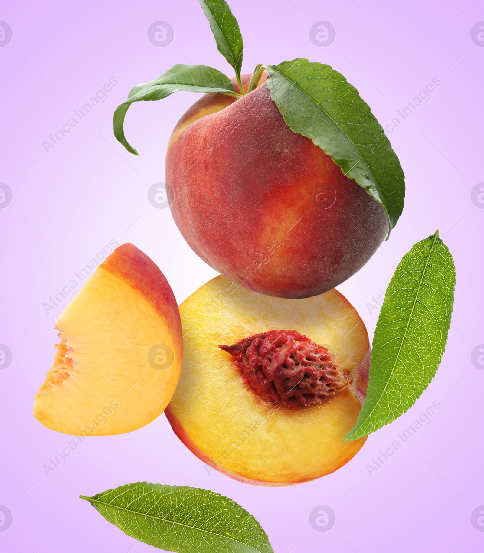 Image of Juicy fresh peaches with green leaves falling on violet background