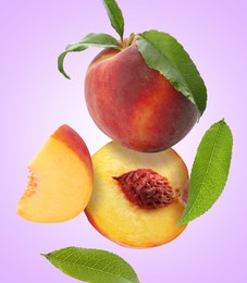 Image of Juicy fresh peaches with green leaves falling on violet background