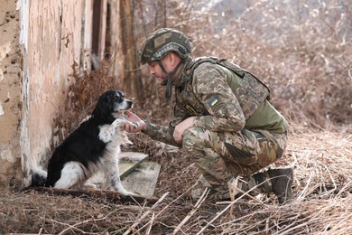 Stray dog giving paw to Ukrainian soldier outdoors