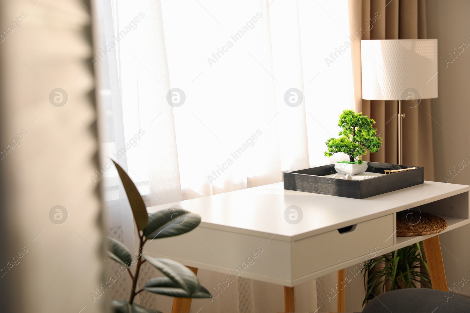 Photo of Beautiful miniature zen garden on white table indoors