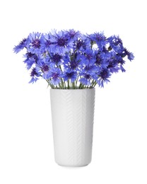 Photo of Beautiful bouquet of cornflowers in vase isolated on white