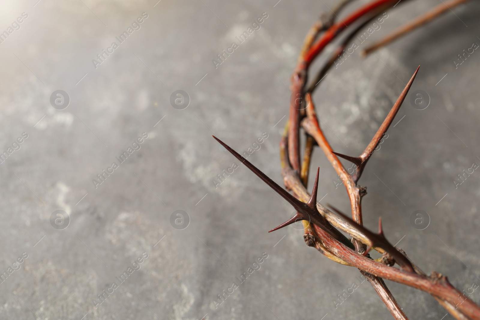 Photo of Crown of thorns on grey background, closeup with space for text. Easter attribute