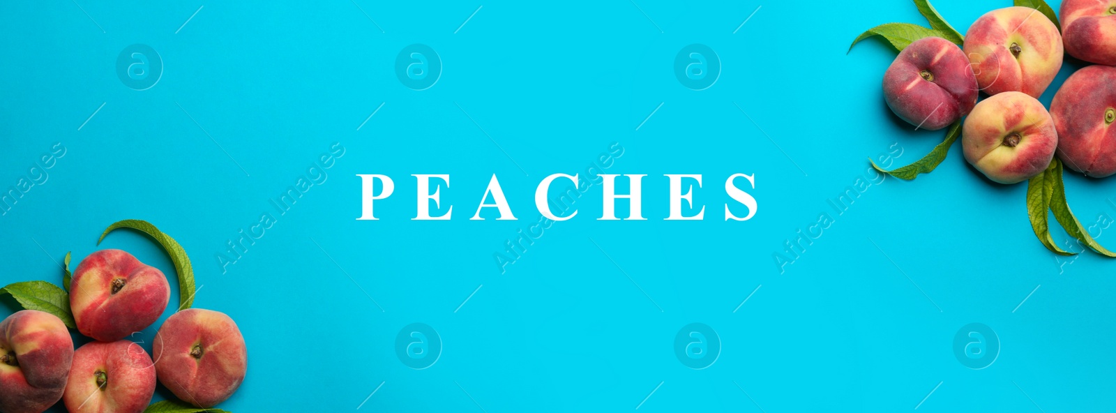 Image of Fresh flat peaches on light blue background, top view. Banner design