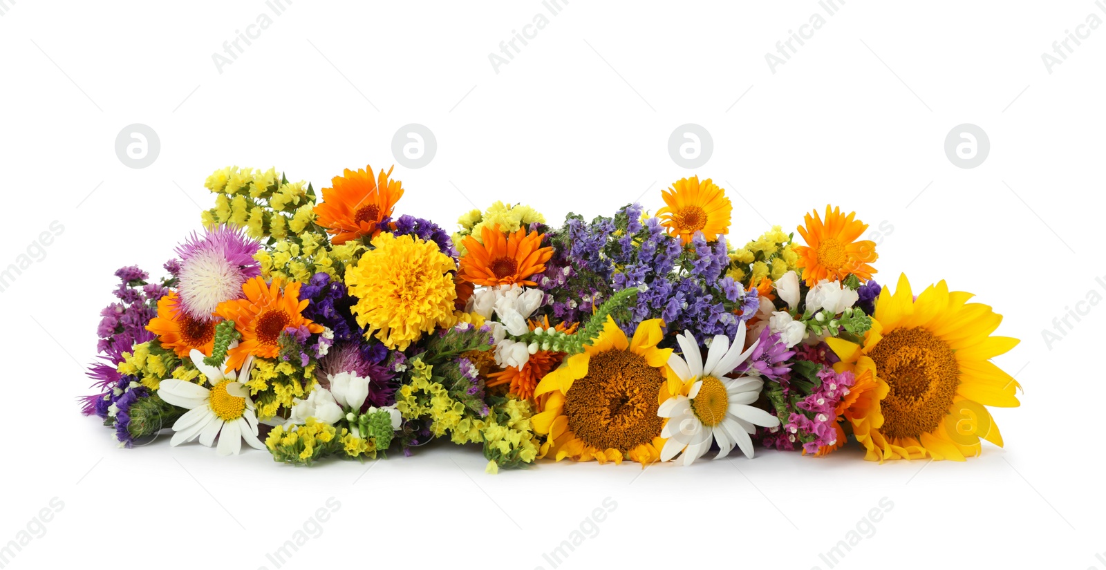 Photo of Bunch of beautiful wild flowers on white background