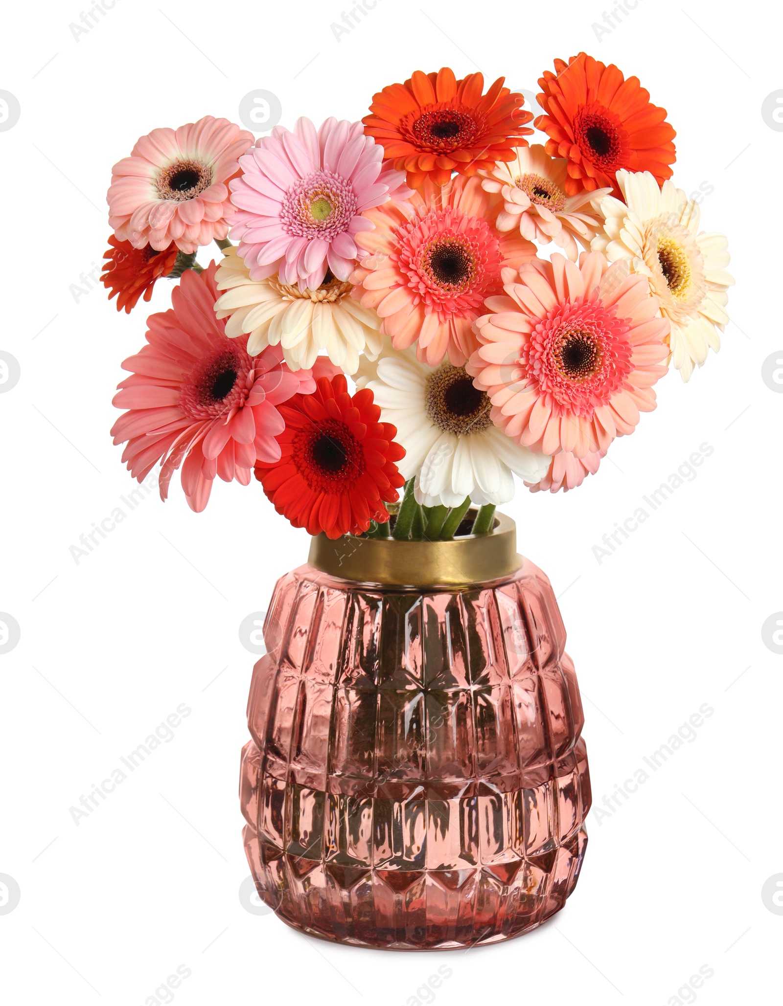 Photo of Bouquet of beautiful colorful gerbera flowers in vase isolated on white