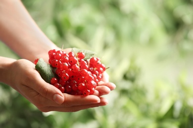 Photo of Woman holding ripe red currants on blurred background, closeup. Space for text