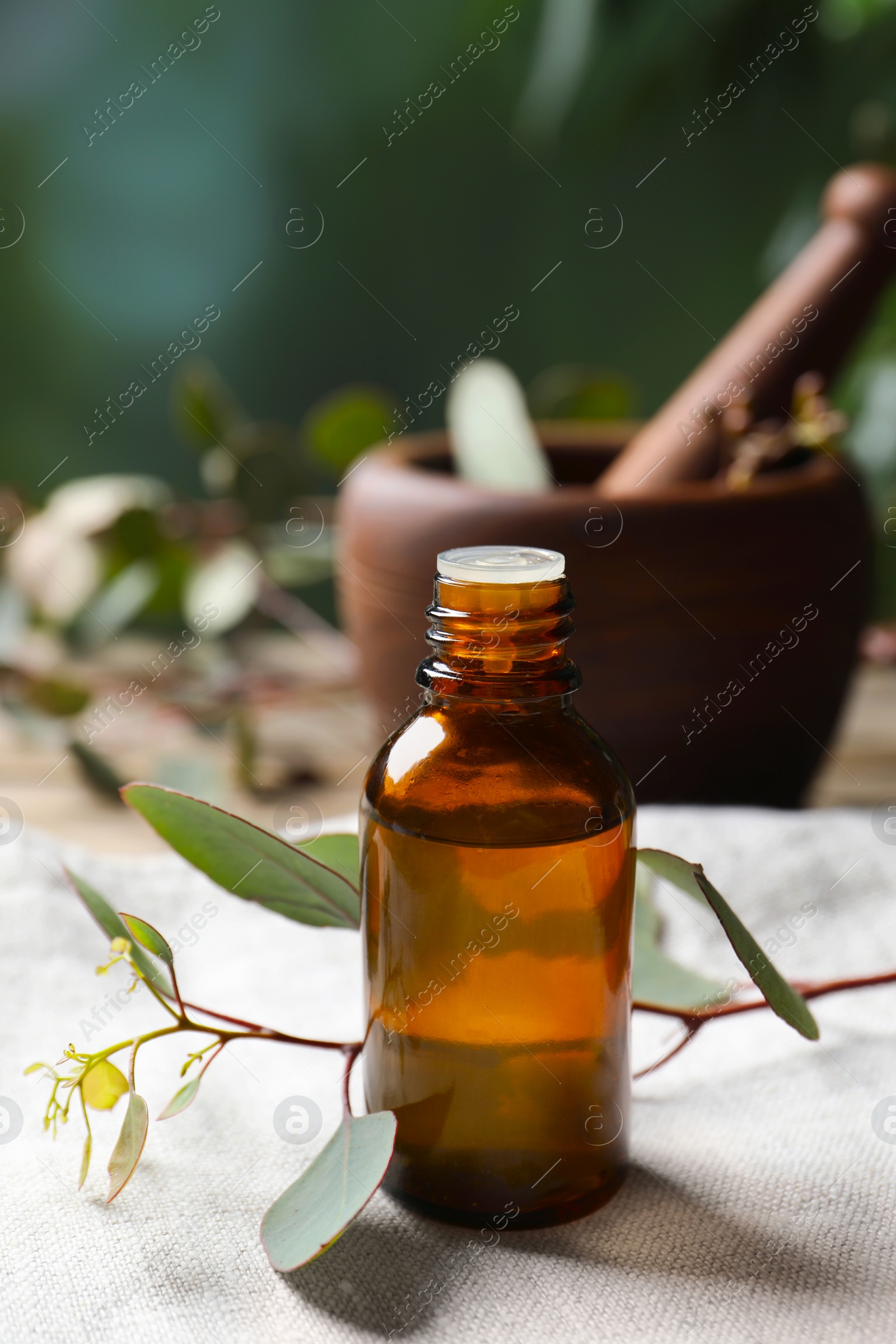 Photo of Bottle of eucalyptus essential oil and plant branches on table