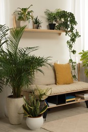 Stylish room interior with beautiful houseplants and comfortable bench