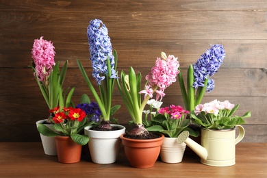 Different flowers in ceramic pots on wooden table