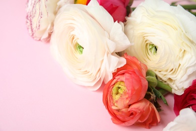 Photo of Beautiful ranunculus flowers on color background, closeup view. Space for text