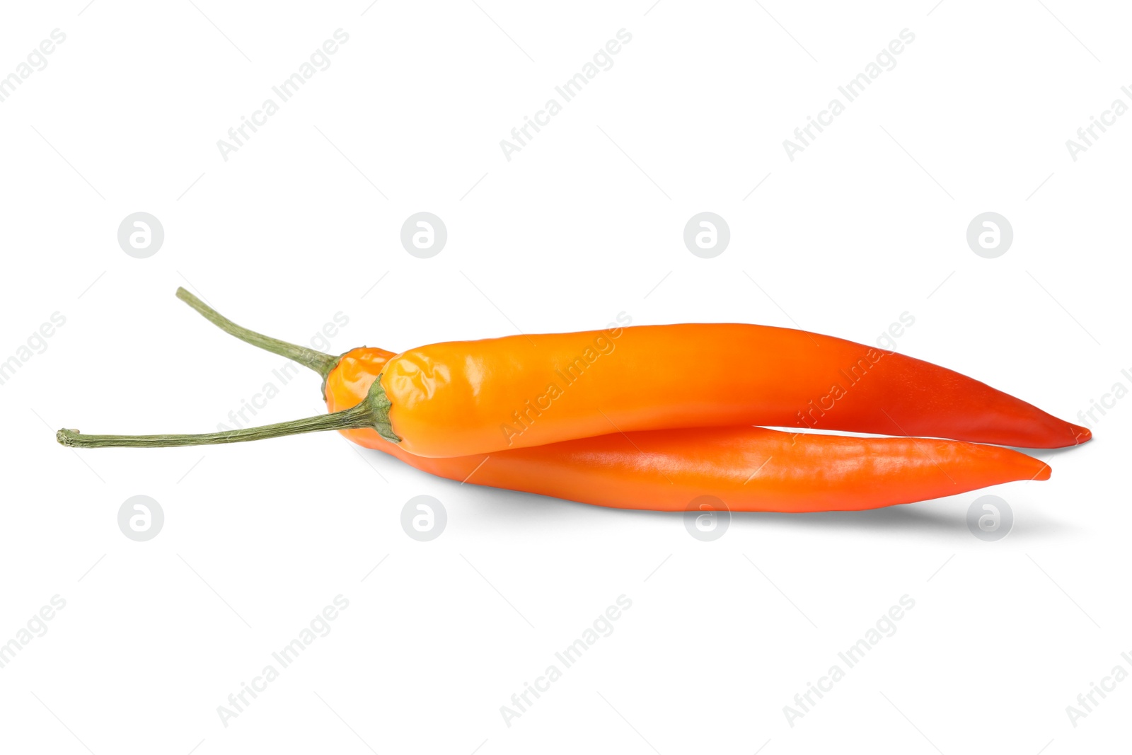 Photo of Ripe orange hot chili peppers on white background
