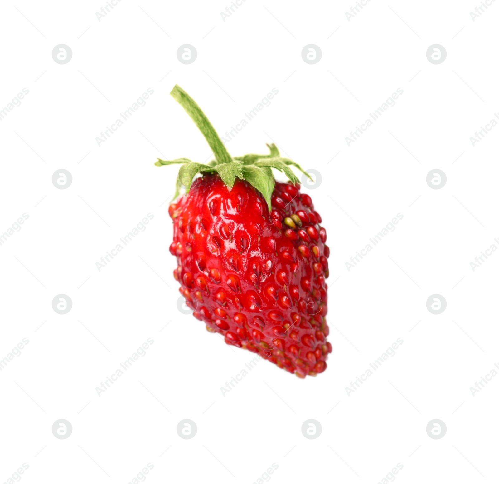 Photo of One ripe wild strawberry isolated on white