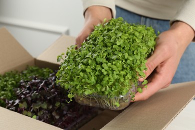 Photo of Woman with cardboard box of different fresh microgreens indoors, closeup