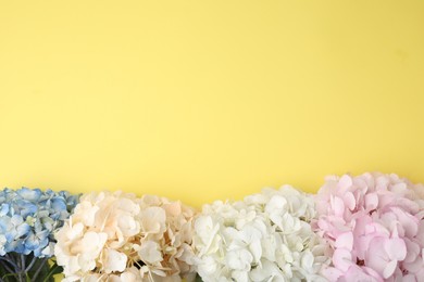 Photo of Beautiful pastel hydrangea flowers on yellow background, top view. Space for text