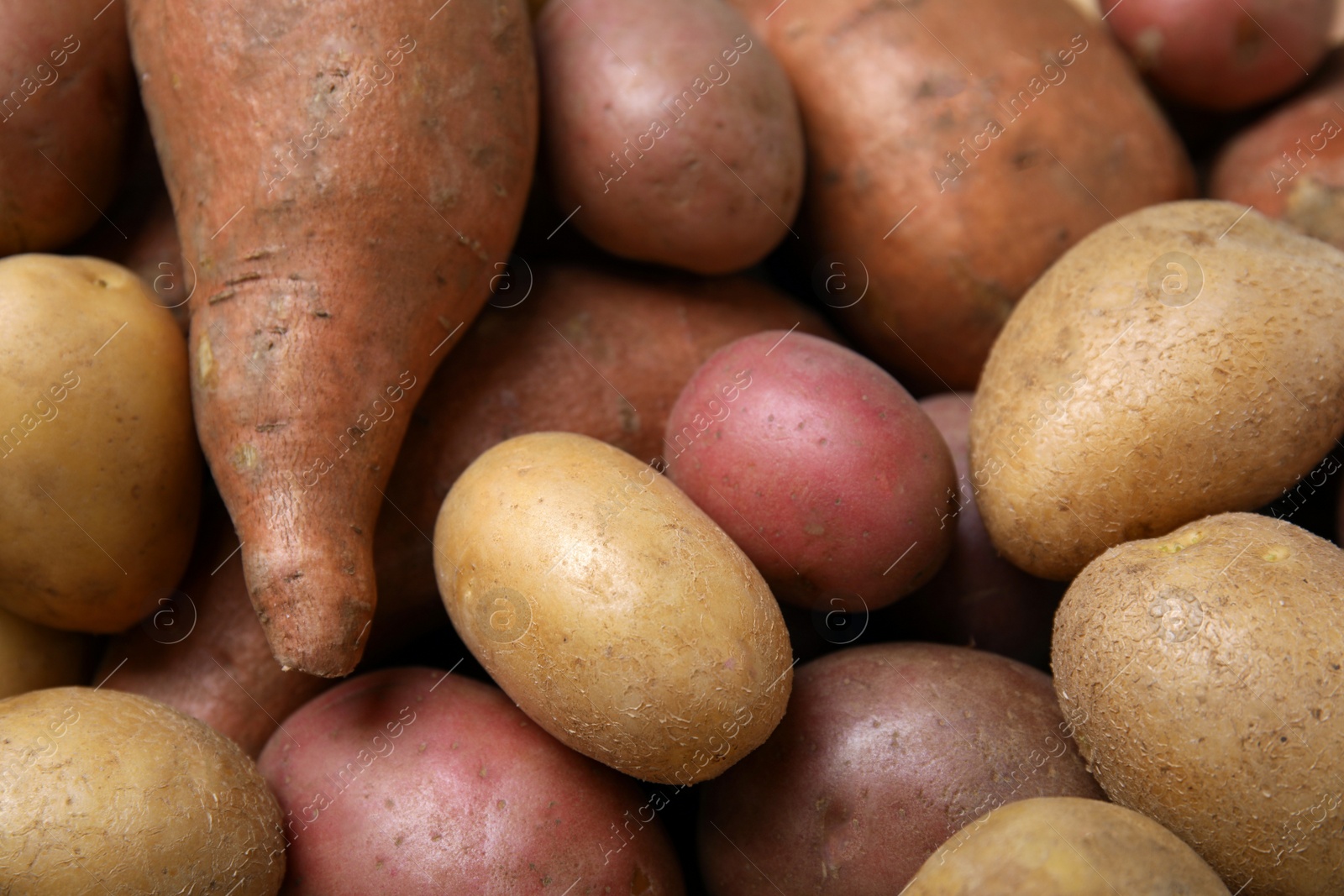 Photo of Different types of fresh potatoes as background, closeup view