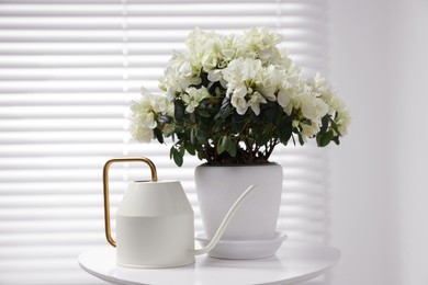 Beautiful azalea plant in flower pot and watering can on white table indoors