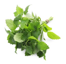 Photo of Bunch of fresh lemon balm on white background