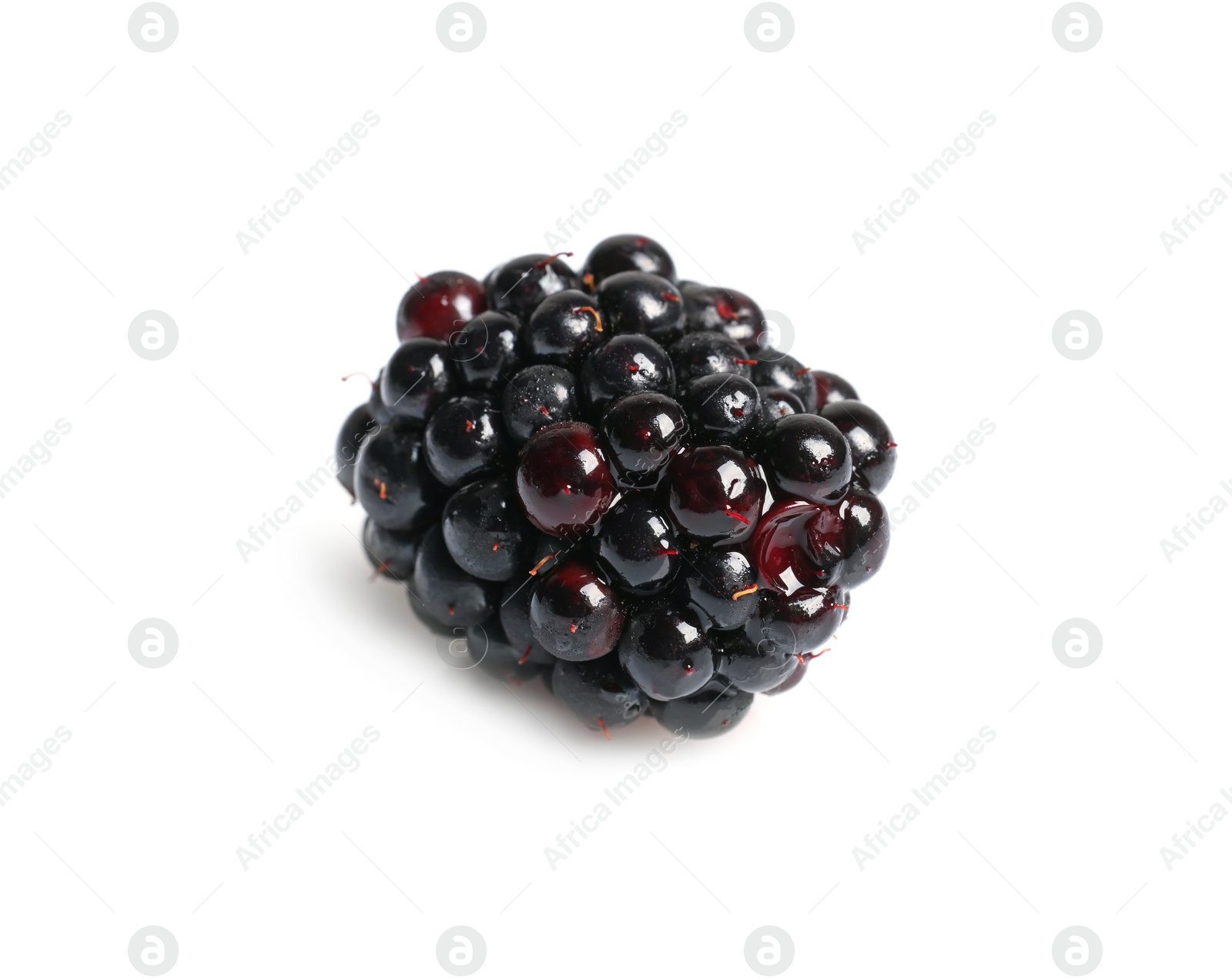 Photo of One tasty ripe blackberry isolated on white