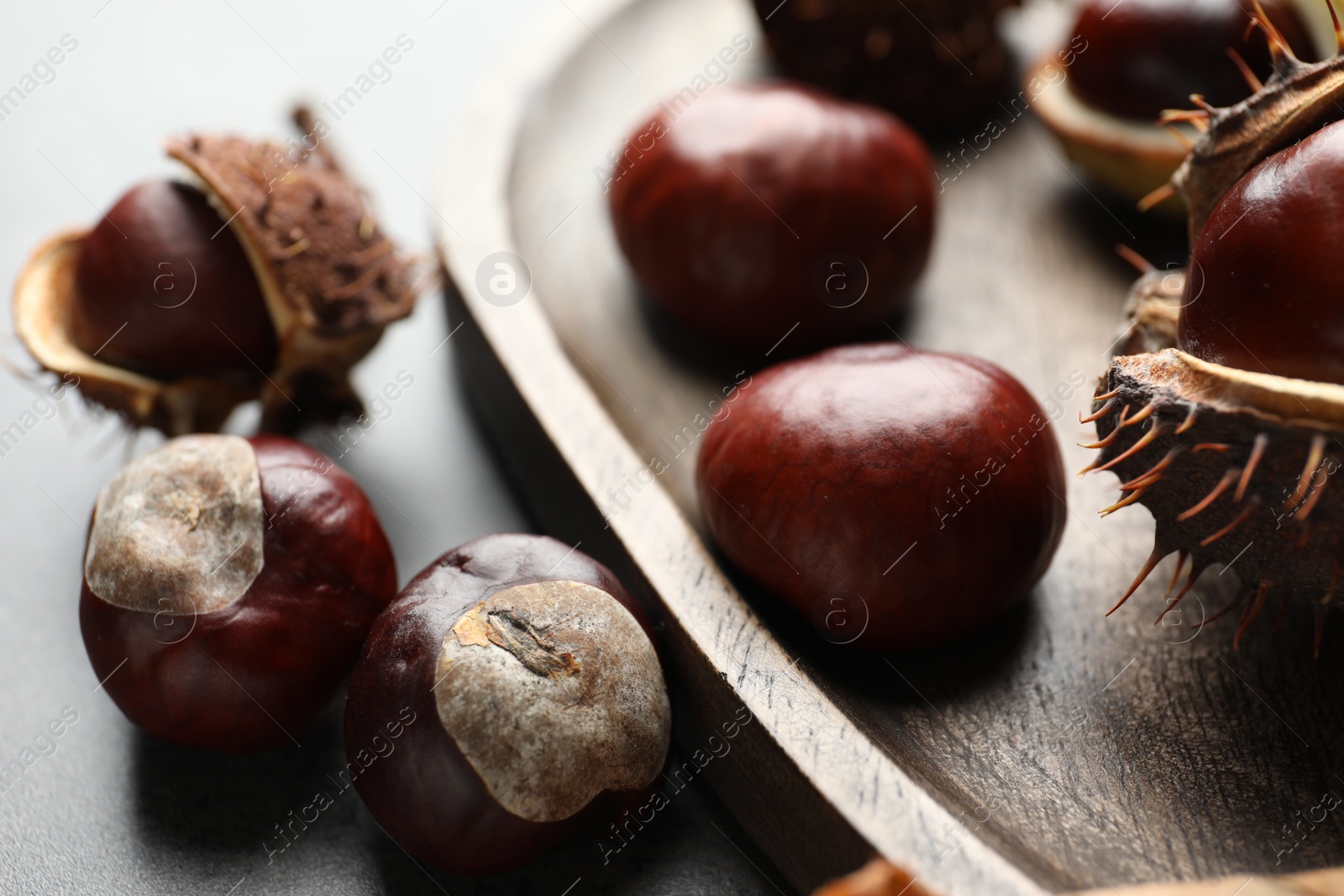 Photo of Horse chestnuts on wooden tray, closeup view