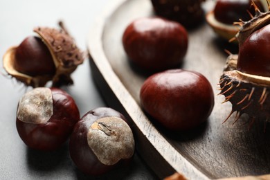 Photo of Horse chestnuts on wooden tray, closeup view