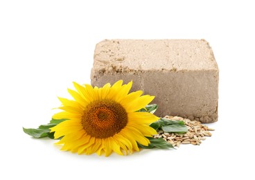 Image of Tasty halva, sunflower and seeds isolated on white