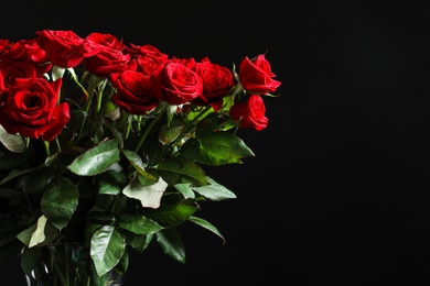 Beautiful red rose flowers on black background