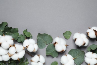 Cotton flowers and eucalyptus leaves on grey background, flat lay. Space for text
