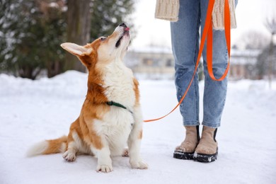 Photo of Woman with adorable Pembroke Welsh Corgi dog in snowy park, closeup