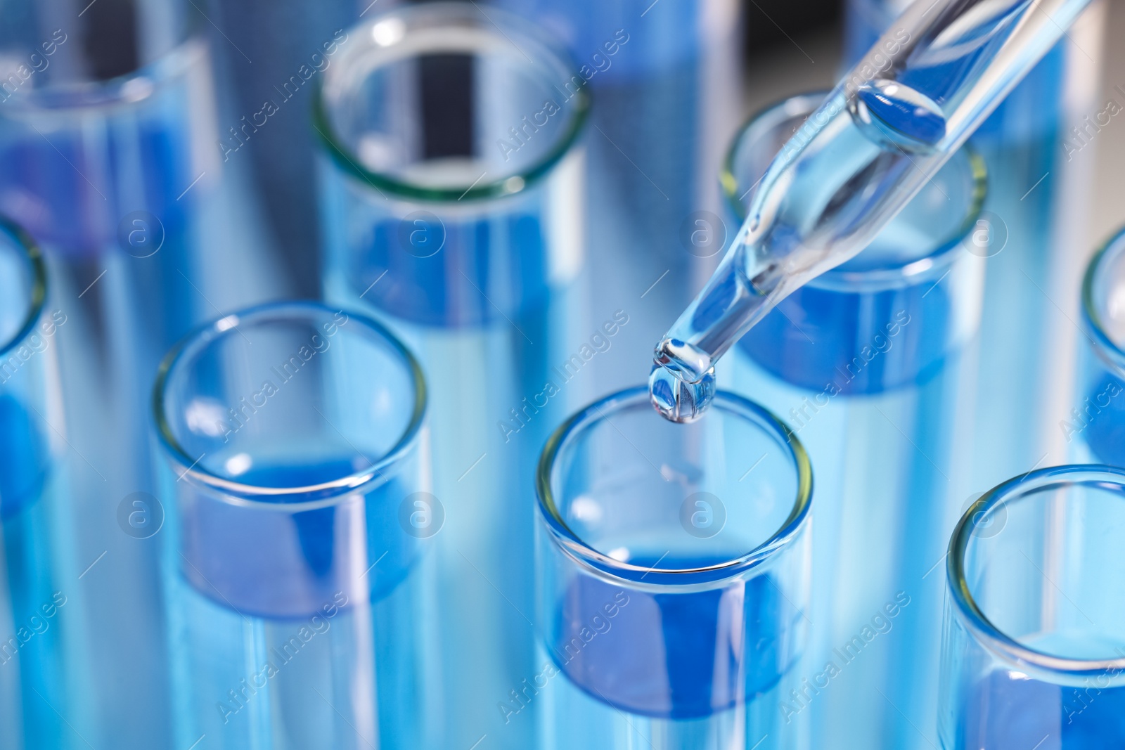 Photo of Dripping reagent into test tube with blue liquid, closeup. Laboratory analysis