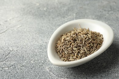 Caraway (Persian cumin) seeds in bowl on gray textured table, space for text
