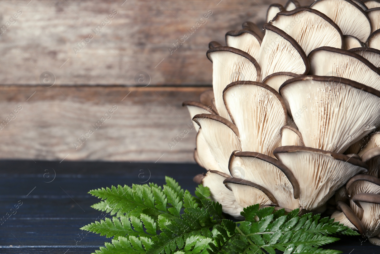 Photo of Delicious organic oyster mushrooms with leaves on table, closeup. Space for text