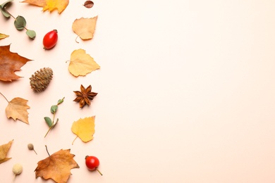 Flat lay composition with autumn leaves on light background, space for text