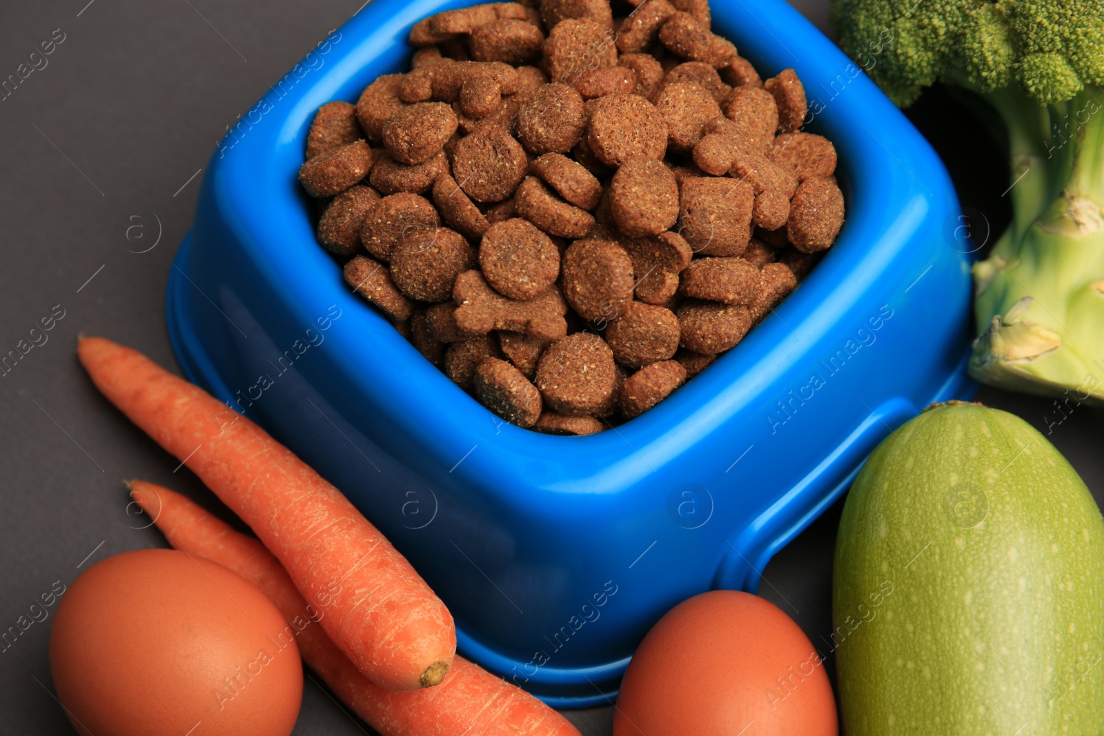 Photo of Dry pet food and products on black background, closeup