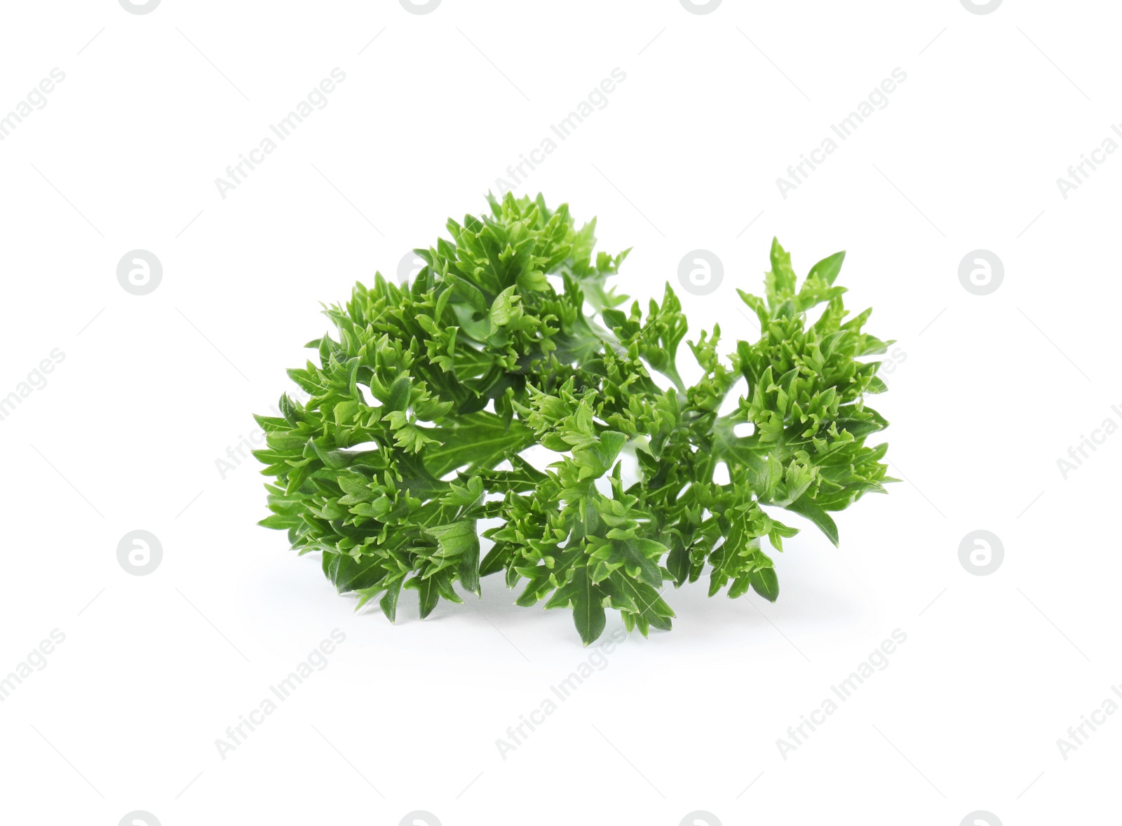 Photo of Fresh green organic parsley on white background