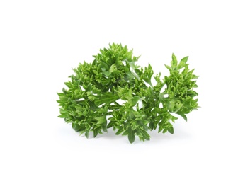 Photo of Fresh green organic parsley on white background