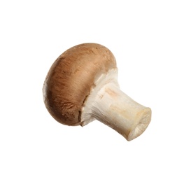 Fresh wild champignon mushroom isolated on white
